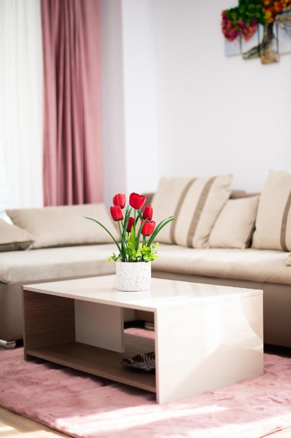 Claseb Apartment Тимишоара Экстерьер фото
